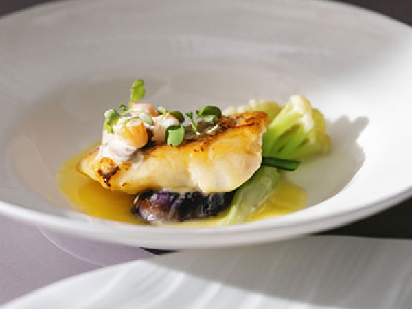 ベーシックコース